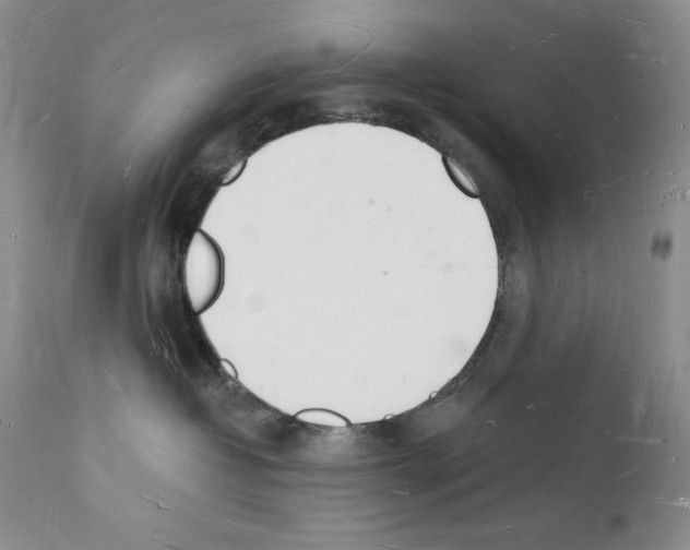 X0000112140382200909181404