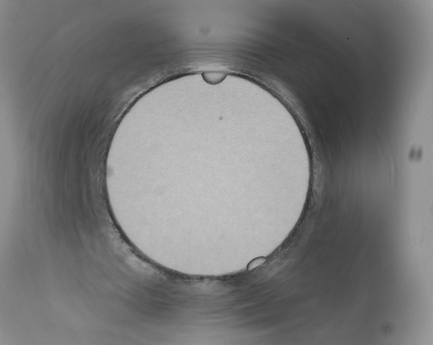 X0000112140385200909181403