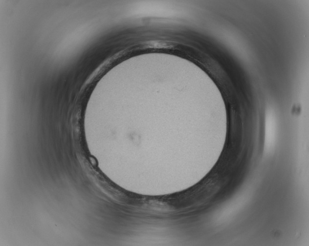 X0000112140387200909181403