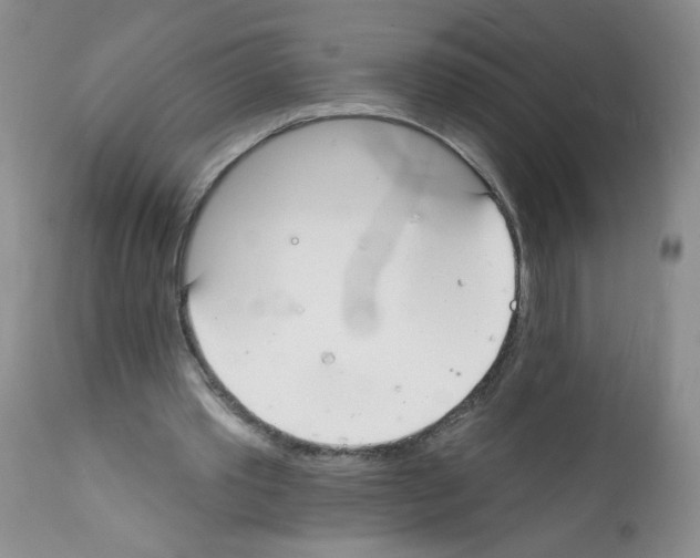 X0000112140389200909181403