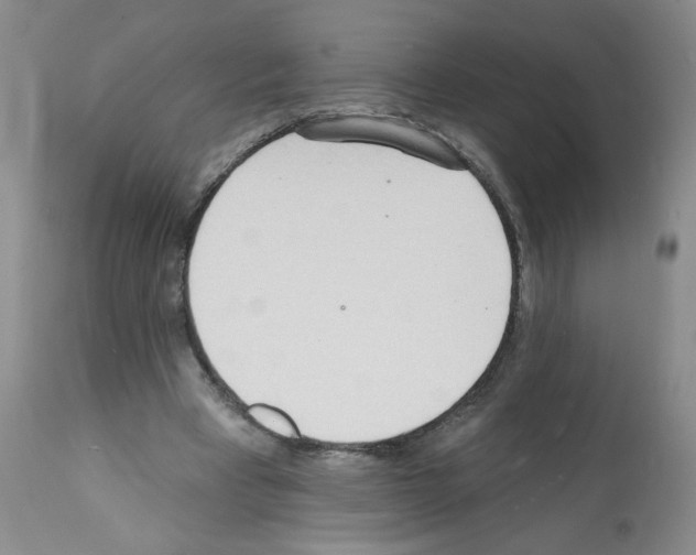 X0000112140393200909181403