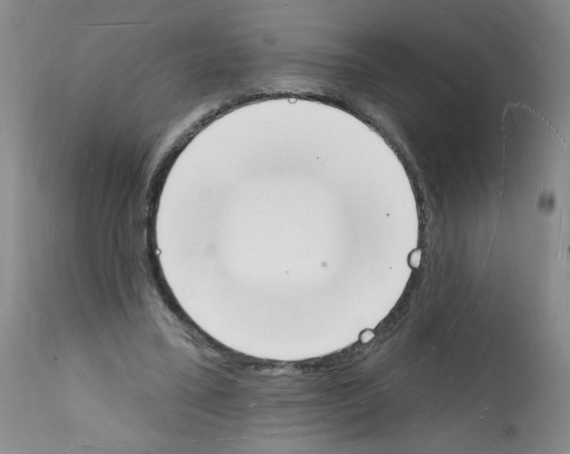 X0000112140395200909181403