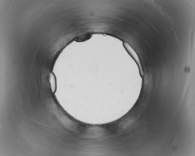 X0000112140397200909181403