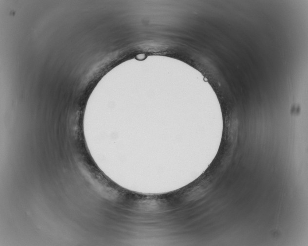 X0000112140404200909181403