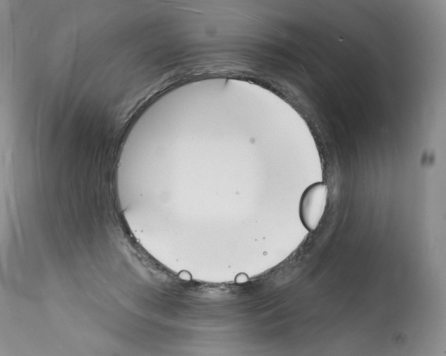 X0000112140405200909181403