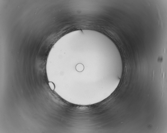 X0000112140409200909181403