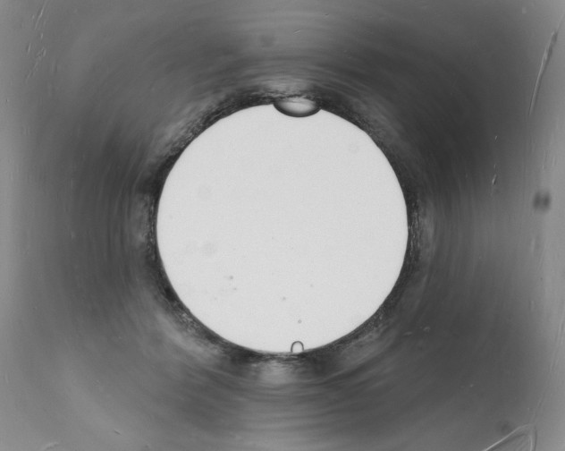 X0000112140412200909181403