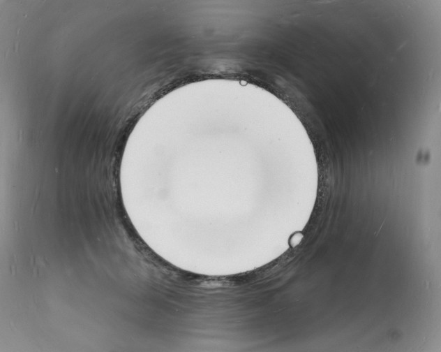 X0000112140415200909181403