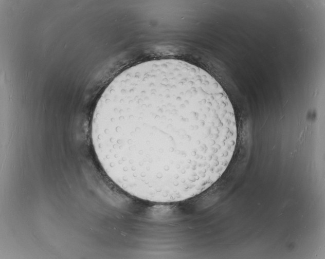 X0000112140418200909181403