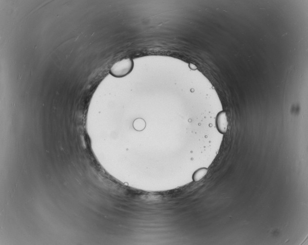 X0000112140419200909181403