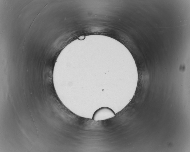 X0000112140421200909181403