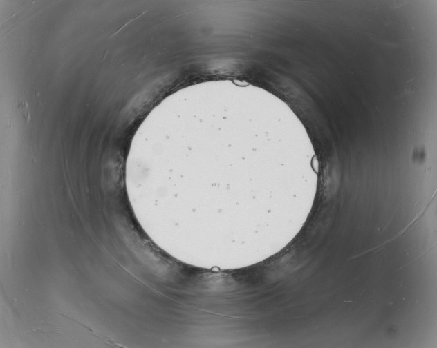 X0000112140424200909181403