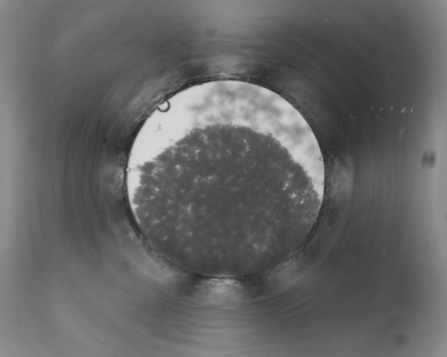 X0000112140427200909181403