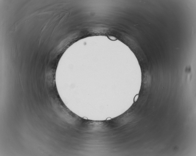 X0000112140428200909181403