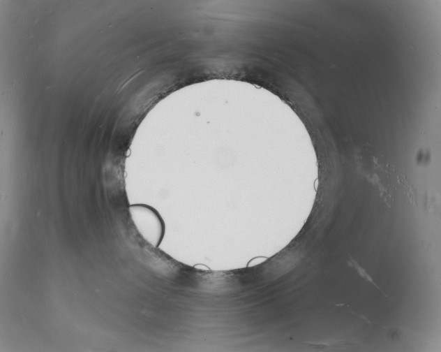 X0000112140432200909181403