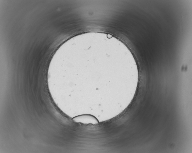 X0000112140433200909181402