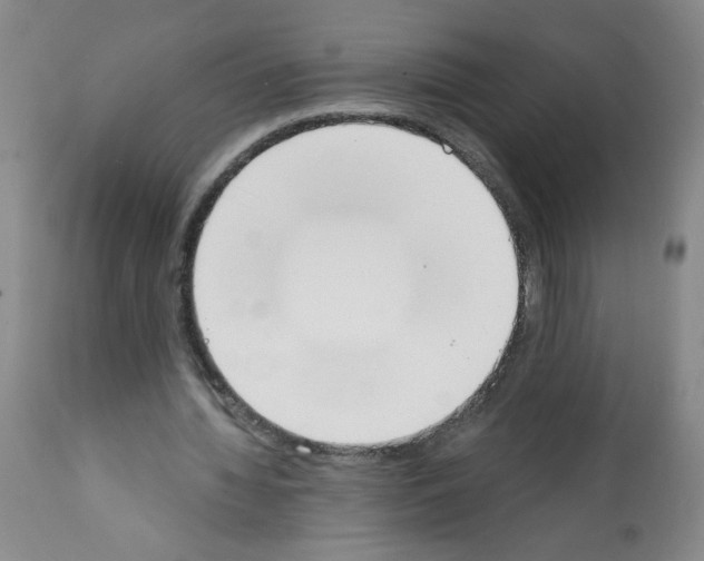 X0000112140436200909181402