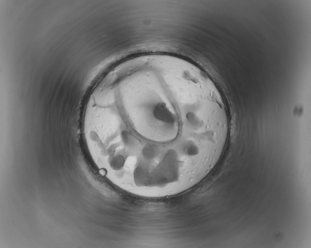 X0000112140438200909181402