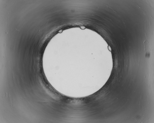 X0000112140444200909181402