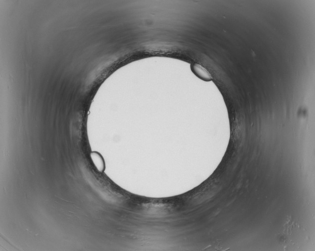 X0000112140448200909181402