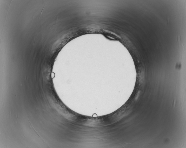 X0000112140458200909181402