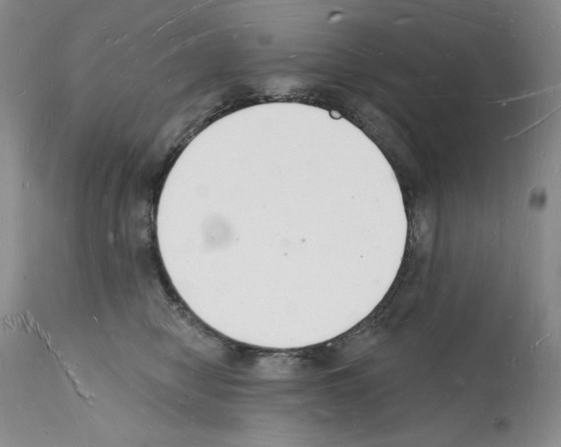 X0000112140470200909181402