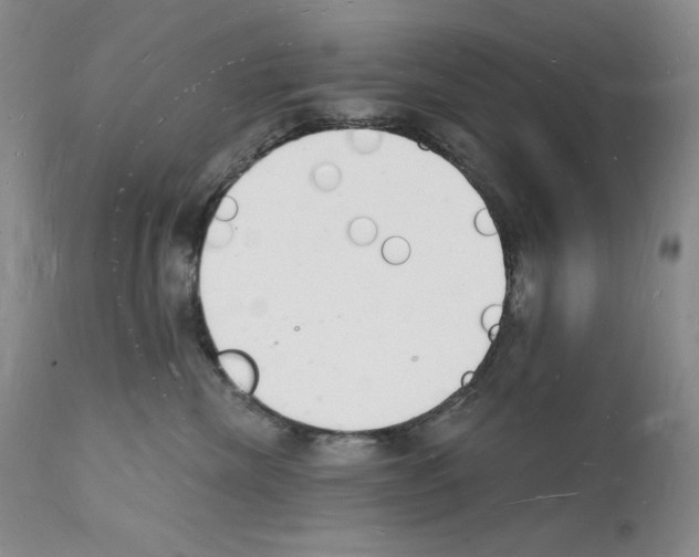 X0000112140476200909181403