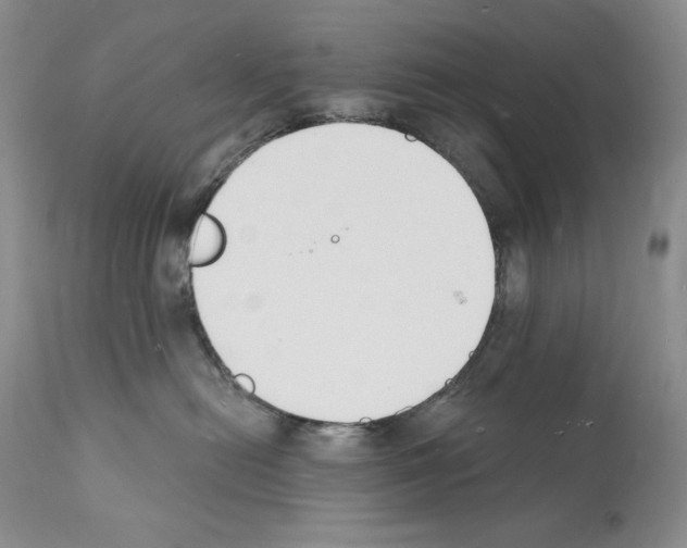 X0000112140478200909181403