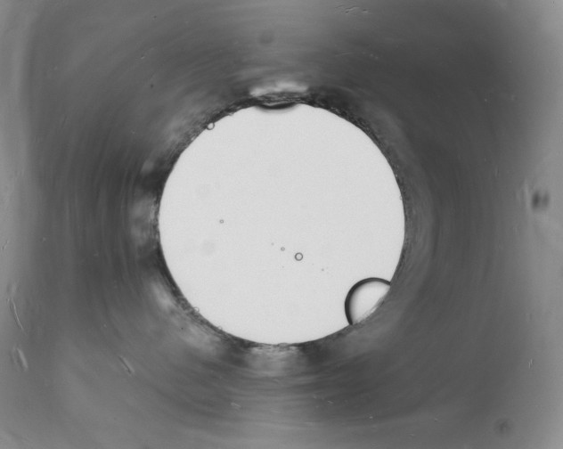 X0000112140480200909181403