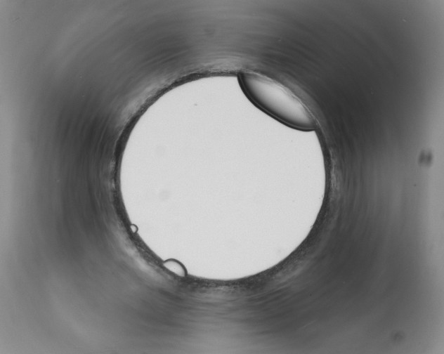 X0000112140485200909181402