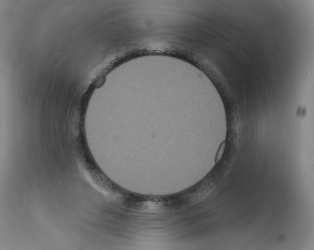 X0000112140496200909181402