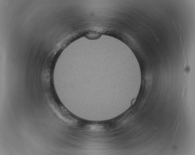 X0000112140500200909181402