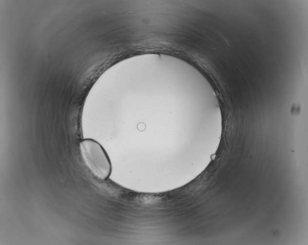 X0000112140501200909181402