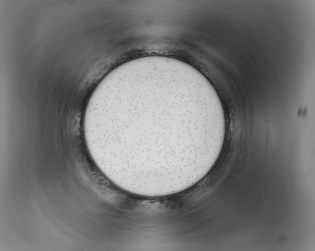 X0000112140502200909181402