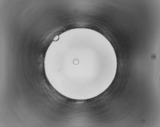 X0000112140505200909181402