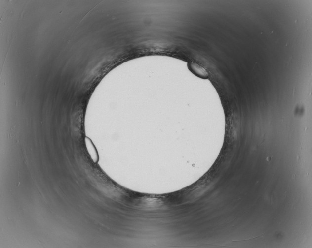 X0000112140509200909181401