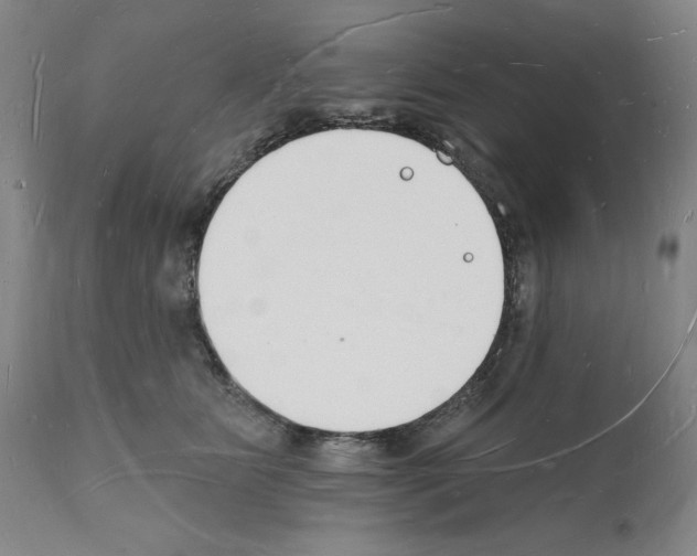 X0000112140515200909181401