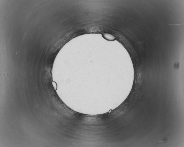 X0000112140521200909181401