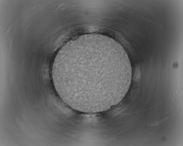 X0000112140524200909181401