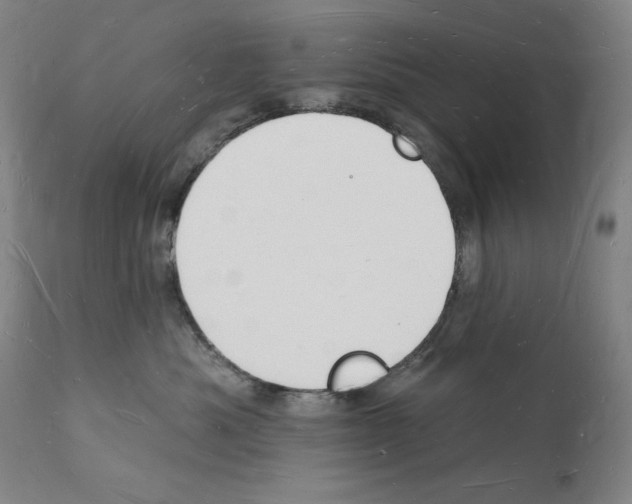 X0000112140525200909181401