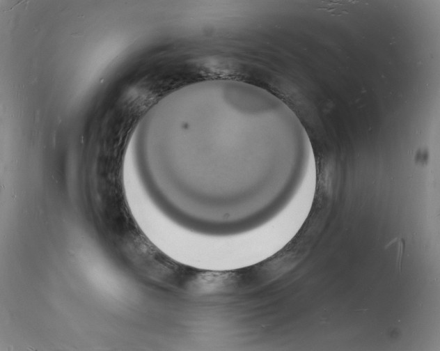 X0000112140526200909181401