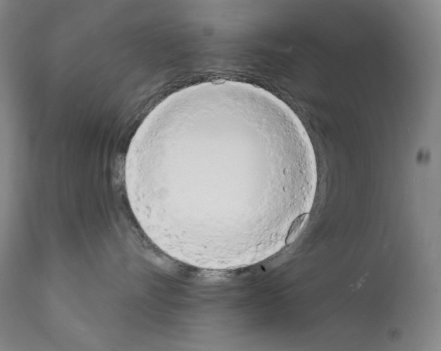 X0000112140528200909181401