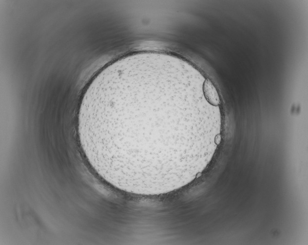 X0000112140529200909181400