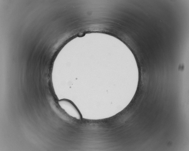 X0000112140530200909181400