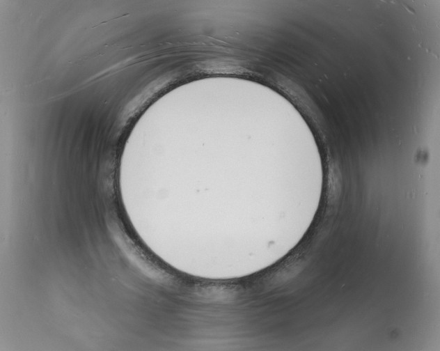 X0000112140533200909181400