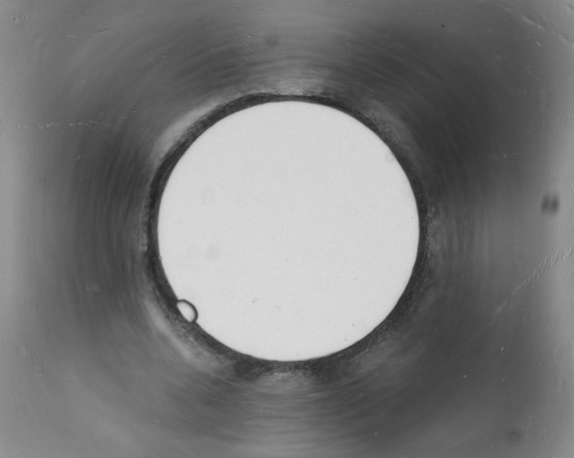 X0000112140536200909181400