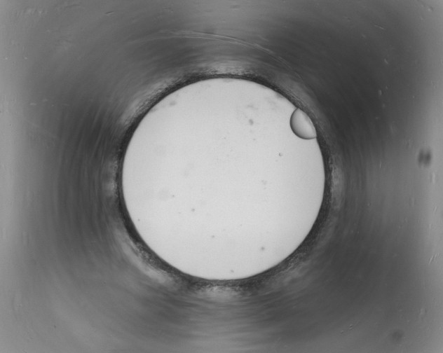 X0000112140537200909181401