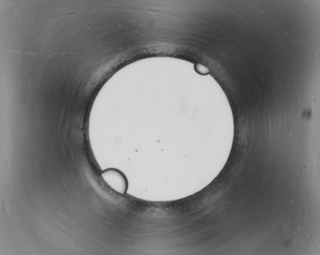 X0000112140538200909181401