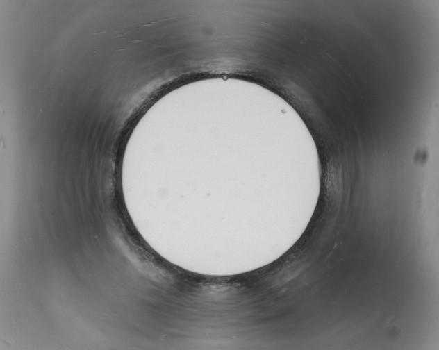 X0000112140540200909181401