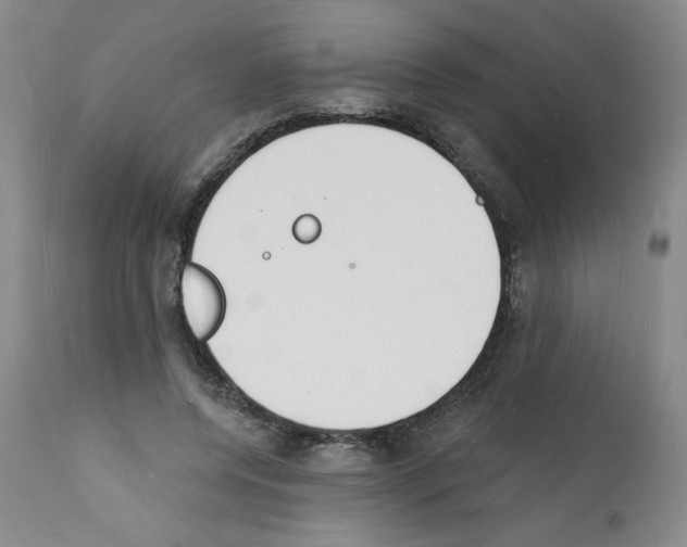 X0000112140544200909181401